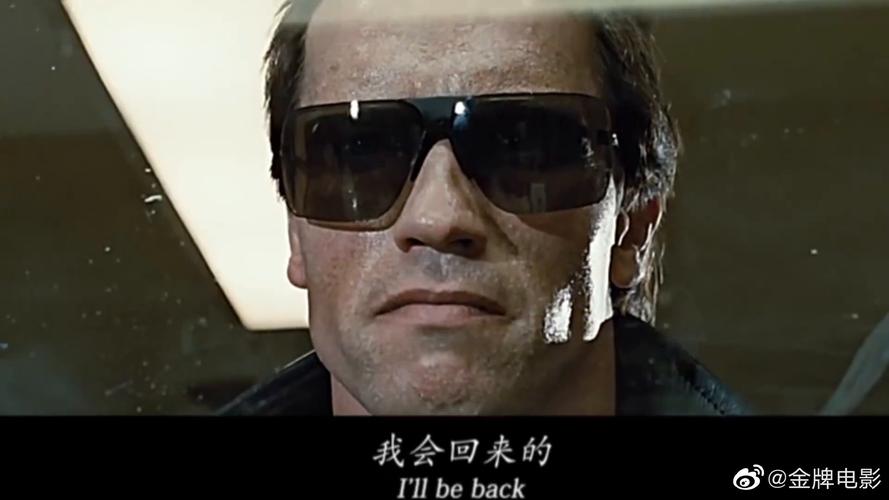 终结者六部曲,一部比一部惨。+