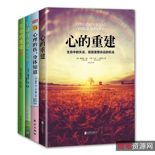 心理励志书籍1277本