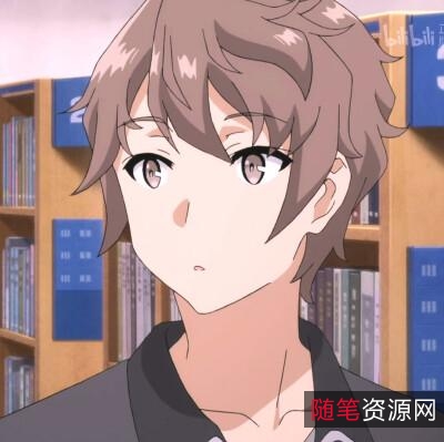 青春猪头少年+小说