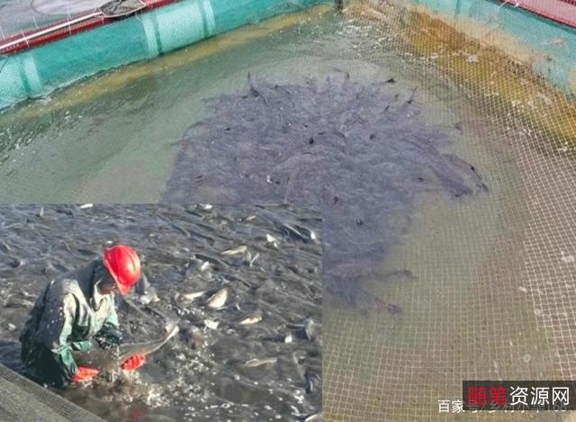 【获客】微软、腾讯、联想、SAP、金蝶等灯塔级企业，一直在用的+“鱼池养鱼论”的获客方法！用他们的选择证明了本书B2B营销技术之领先地位！