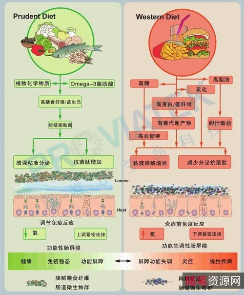 「深度营养：为什么人类的基因需要传统饮食？」这是一本带你深入了解饮食、基因与健康之间关系的书，帮你实现强身健体、延年益寿和抵御疾病的目标，大幅提升生活质量！