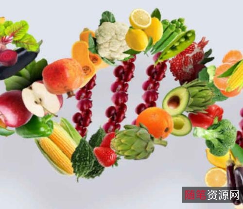 「深度营养：为什么人类的基因需要传统饮食？」这是一本带你深入了解饮食、基因与健康之间关系的书，帮你实现强身健体、延年益寿和抵御疾病的目标，大幅提升生活质量！