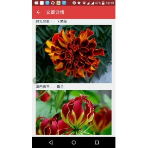 「鱼：全世界300种鱼的彩se+tu鉴」「世界名花鉴赏图谱」