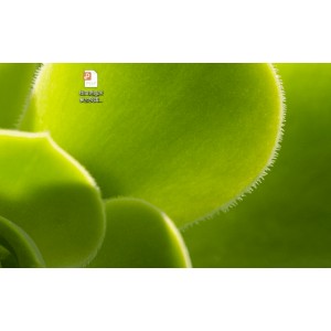 万兴PDF专家绿色特别版.exe