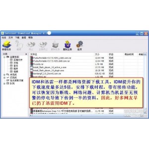 IDM下载神器
