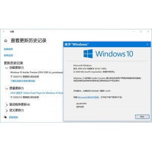 win10+/+win11+dev版本右下角去水印