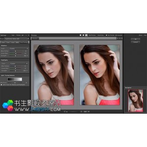 PS+2022全新磨皮降噪三件套-Portraiture、Noiseware+、Realgrain+中文版