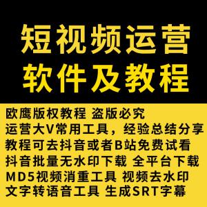 全网视频无水印批量下载工具