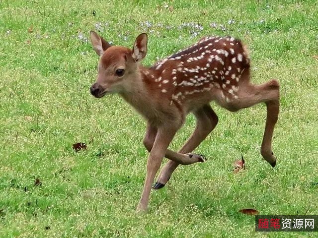 2022年新电影5：惊险刺激，视觉盛宴！