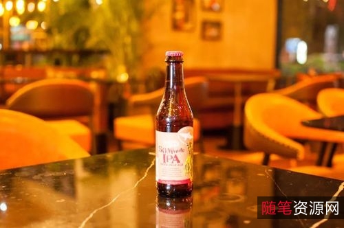 《2022年名酿家族PromisedLand：丰富的资源，倍速播放功能》