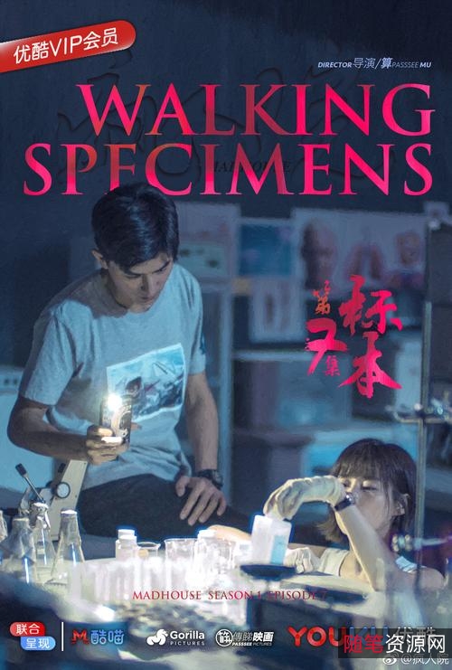 《疯人院》：经典网剧，多种播放方式，支持倍速播放