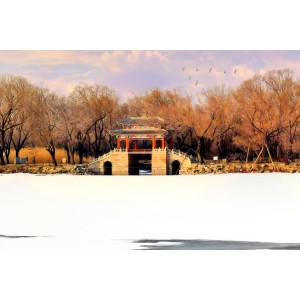 颐和园未删减版：多种渠道让你轻松观看经典作品