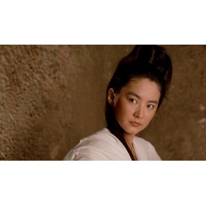 《新龙门客栈：国行蓝光版本，103分钟花絮片，88分钟正片，25分钟快进，MKV格式》