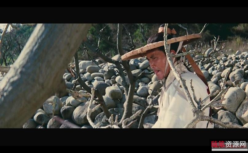 《新龙门客栈：国行蓝光版本，103分钟花絮片，88分钟正片，25分钟快进，MKV格式》