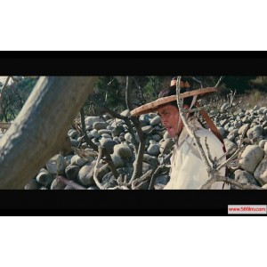 《新龙门客栈：国行蓝光版本，103分钟花絮片，88分钟正片，25分钟快进，MKV格式》