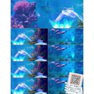 海底动物世界8K：身临其境的视觉感受，极速观看，倍速播放