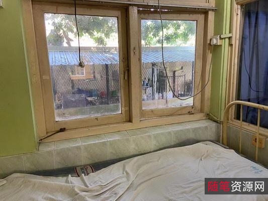 《2021年《生死权杖》跨国父女情草根打手的极限营救》