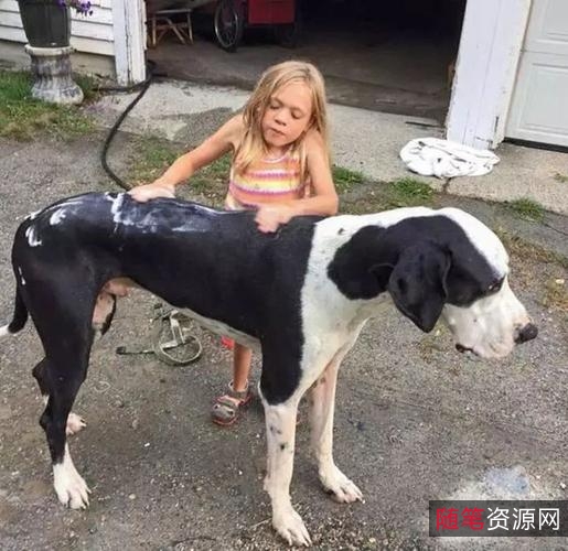 《2021年《生死权杖》跨国父女情草根打手的极限营救》