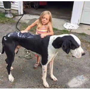 《2021年《生死权杖》跨国父女情草根打手的极限营救》