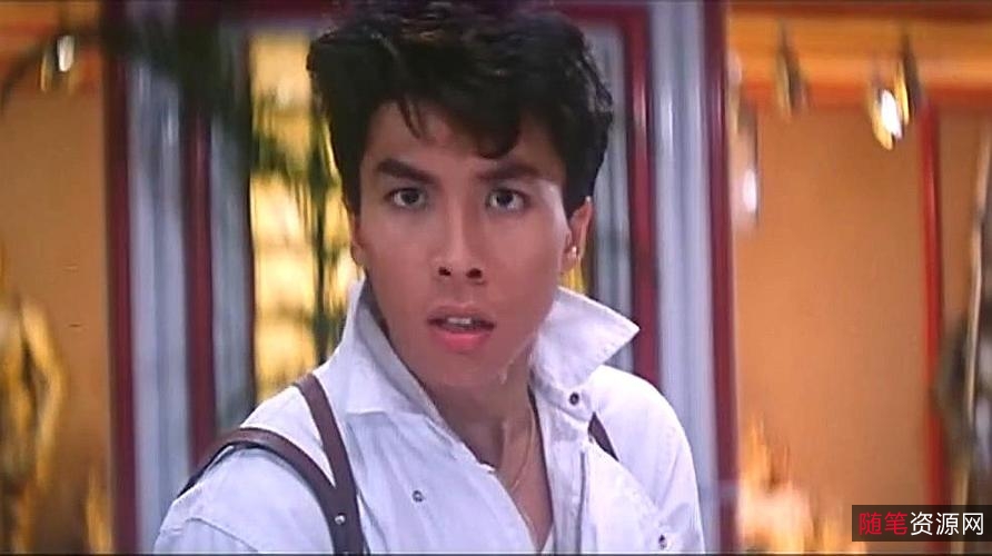 甄子丹经典电影合集：20部作品，多种资源链接、原画及倍速播放