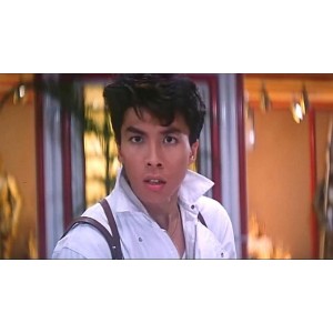 甄子丹经典电影合集：20部作品，多种资源链接、原画及倍速播放