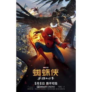 蜘蛛侠系列三部曲：极速观看，清晰原画，免费阿里云盘