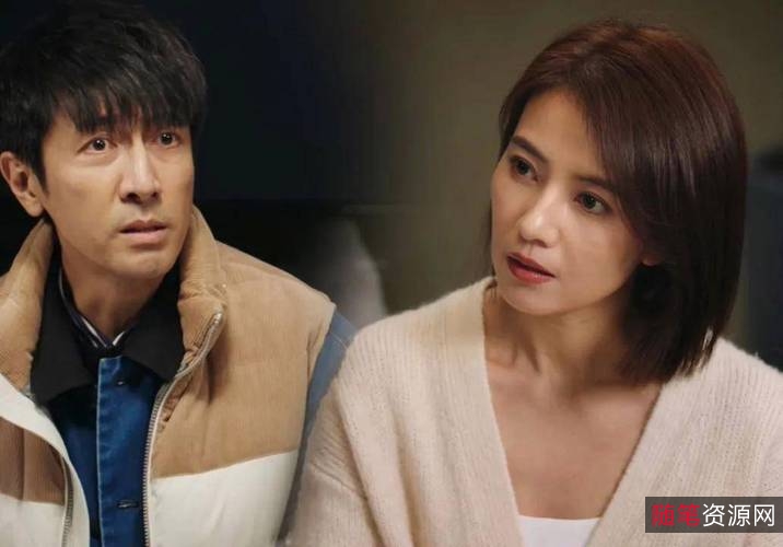 《2022完美伴侣：4K高清版，高圆圆、胡歌领衔主演，爱情力量无限》