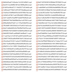 网红{{网红名字}}激烈对白，勇敢就是力量！117v1.5G精品小视频，百度盘白嫖大声惨！