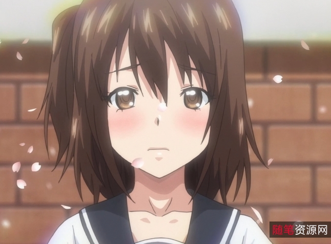 《坂本先辈：勇敢追求梦想，就一定会有收获》