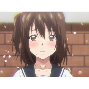 《坂本先辈：勇敢追求梦想，就一定会有收获》