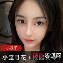 91小宝高端校花寻花作品