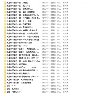 可爱的小猫全系列合集109三人游+184V共8.41G