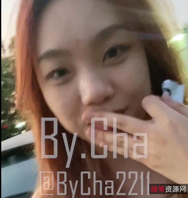 推特知名金主小狗-查小理，勾引路人跪舔后推车[1V-965M]