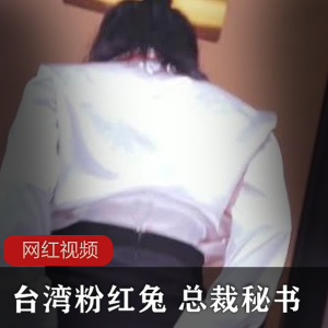 粉红兔总裁秘书作品