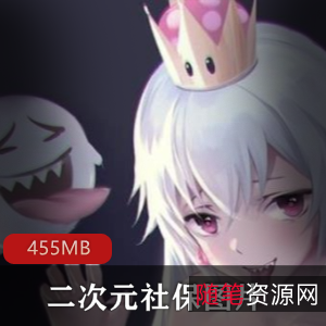 私人收藏二次元社保图片合集，视频大小455MB