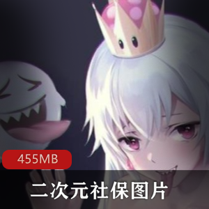私人收藏二次元社保图片合集，视频大小455MB
