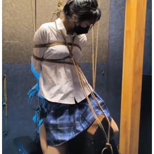 雨辰工作室指教合集，13个视频总大小26G，百度盘分享，喜欢指教不容错过