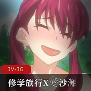 岛国出品3V-3G超火番，小L莉带你体验多人口B旅行乐趣