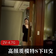 高颜值模特学生S下H交精选自拍视频下载