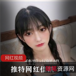 佳凯推特网红作品合集