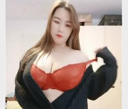 肉感坦克主播合集：高颜值丰满妹子少妇，17个视频总大小17.1G