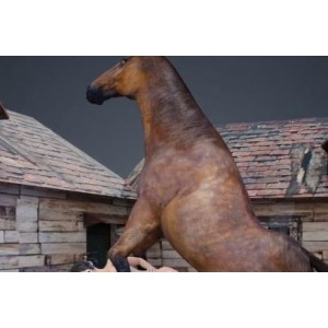 神秘人马J3D动画合集，总时长一小时十分，6V-5.2G容量，自由国售卖