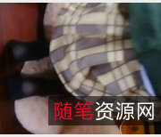 yui收藏级作品2：30V-1.8G，互动爱好者的福音，巨W、狼牙棒、苹果、脉动应有尽有！