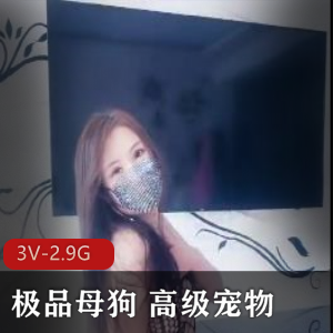 SM高级宠物：跪舔饮尿教育3V-2.9G自拍视频已婚妻子微信认识