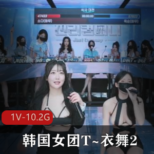 Jinricp韩国女团T~衣舞2完整版-10.2G，14位女主舞蹈抖N子S舞