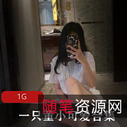 董小可爱玉女网红合集，美腿玉兔视频大放送