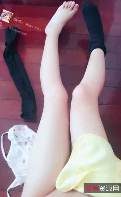 性感妹子猫奴合集