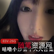 26.4G咕噜小纱雾绅士收费资源合集，网红主播FL姬直播大哥必备！