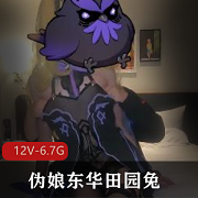 红人伪娘东华田园兔COS剧情高清视频作品6.7G12个