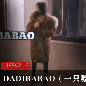 社保姬DADIBABAO：抖M小妹子的打野秘籍，195个视频2.1G全收录！